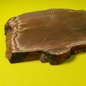 Genuine Rock Stone Slice